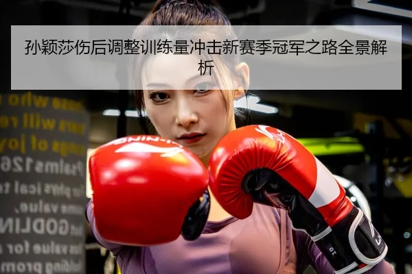 孙颖莎伤后调整训练量冲击新赛季冠军之路全景解析